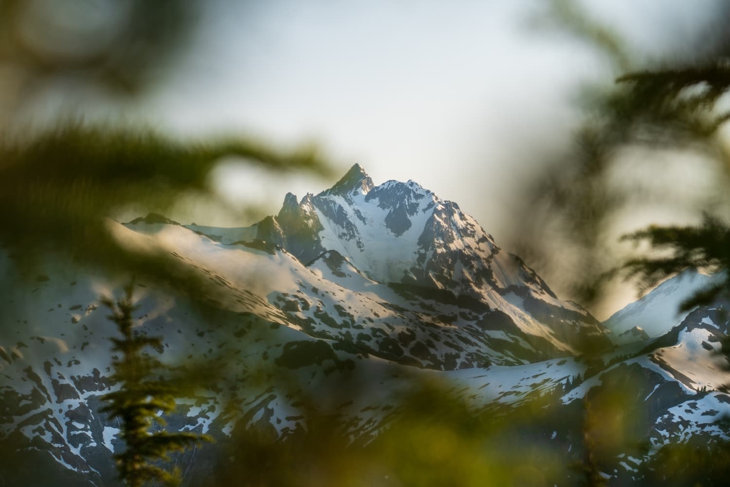 Backpacking the Copper Ridge Trail: Ultimate Guide to North Cascades' Best Views and Campsites
