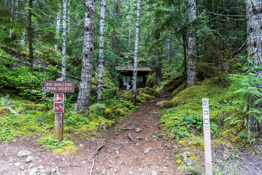 Backpacking Marmot Pass in Olympic National Forest (Ultimate Guide ...