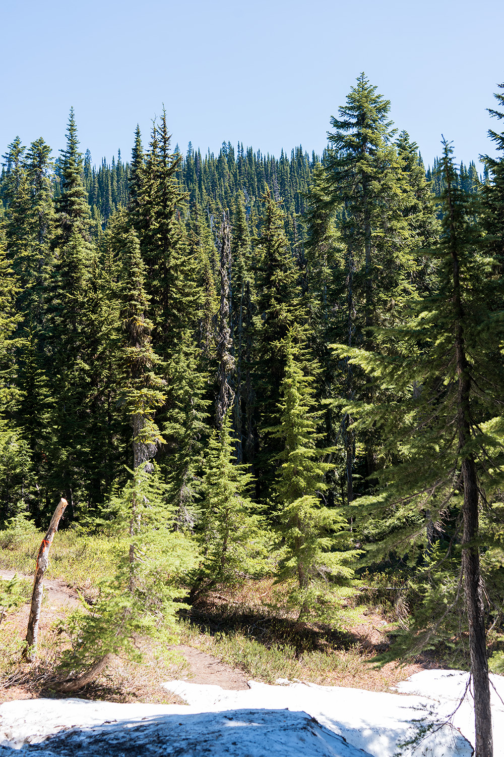 backpacking minotaur lake best hikes cascade mountains