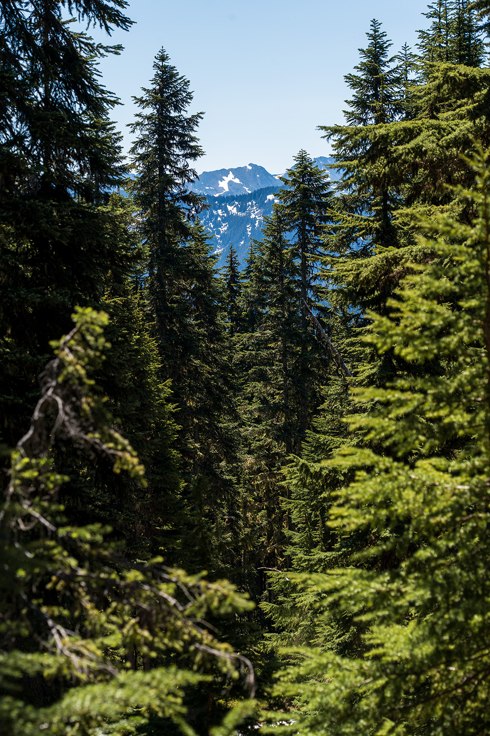 backpacking minotaur lake best hikes cascade mountains