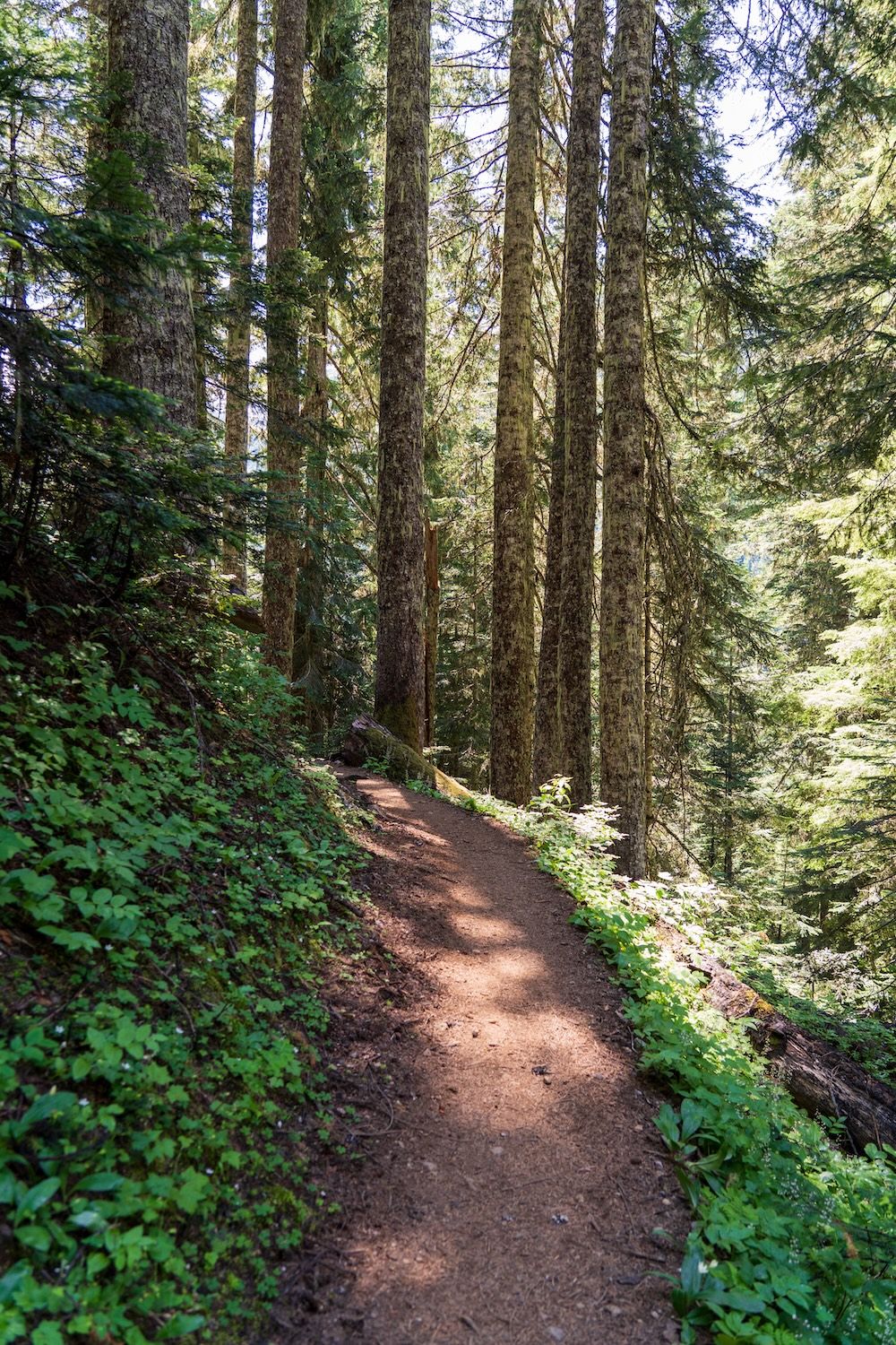 copper ridge hike backpacking north cascades