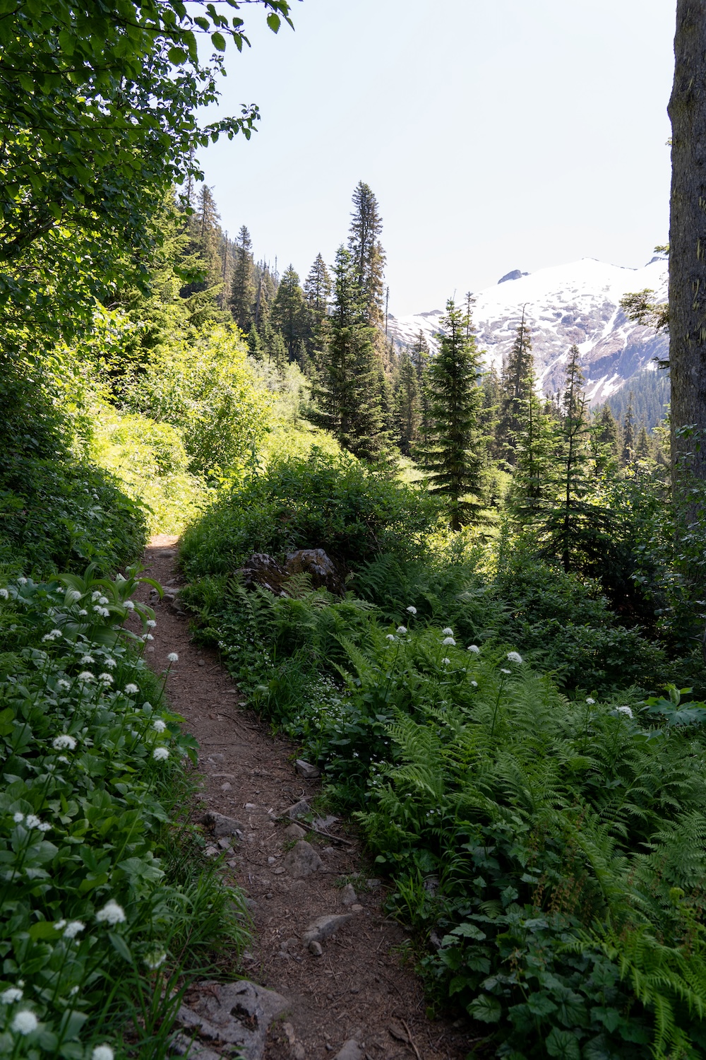 copper ridge hike backpacking north cascades