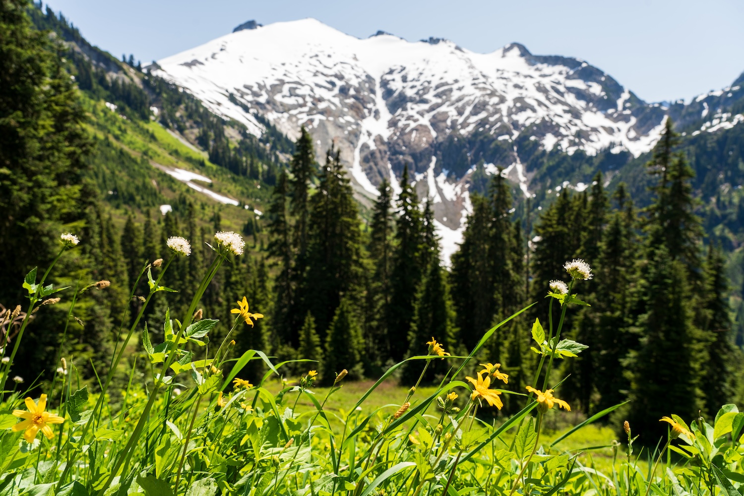 copper ridge hike backpacking north cascades