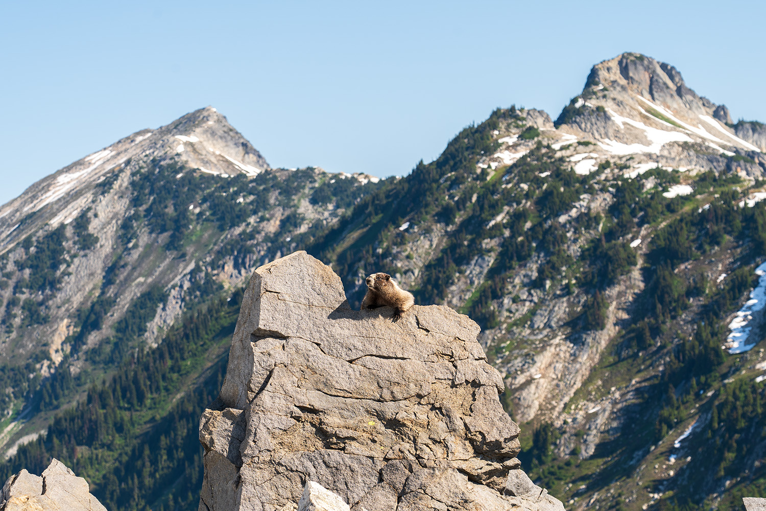 copper ridge hike backpacking north cascades