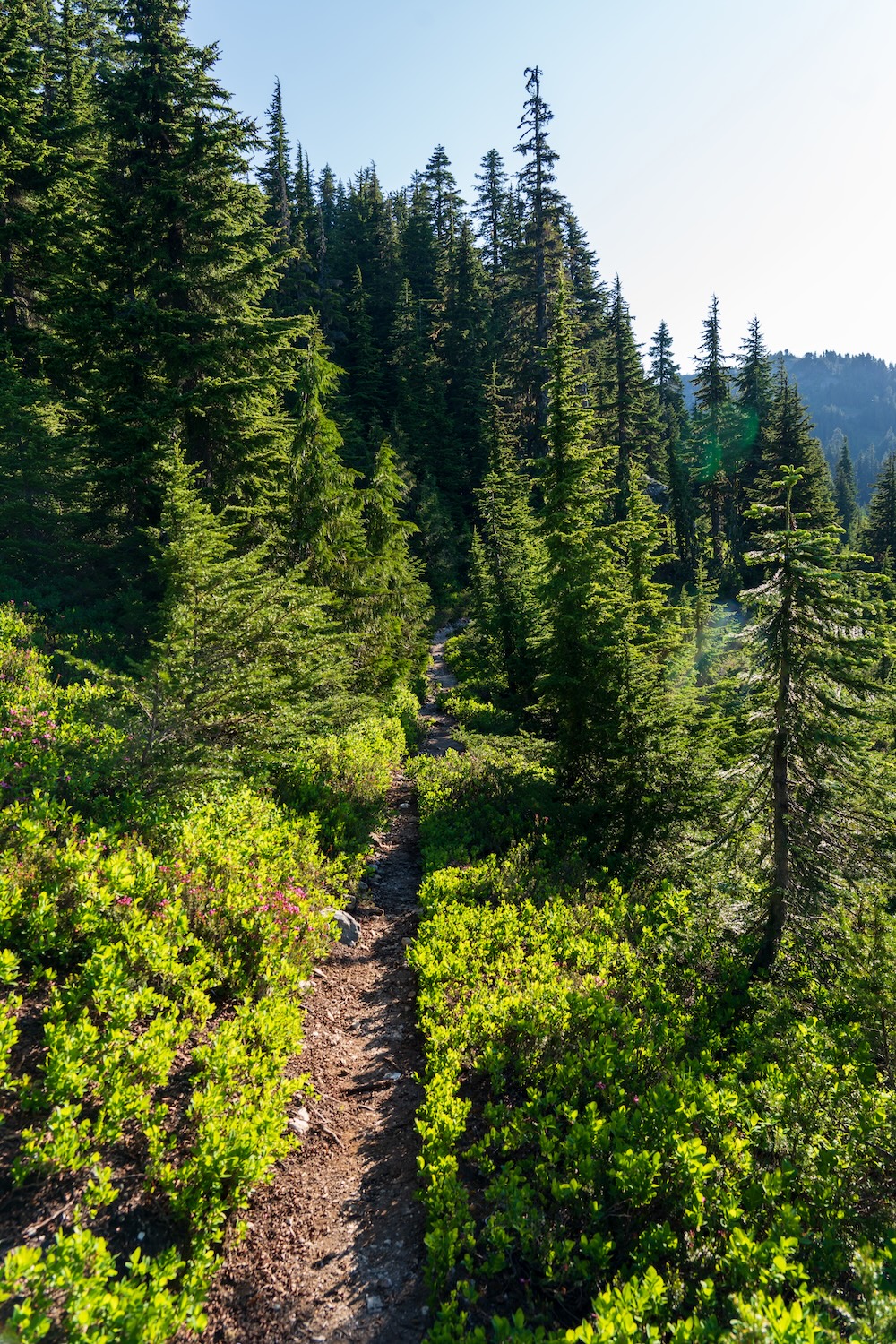 copper ridge hike backpacking north cascades