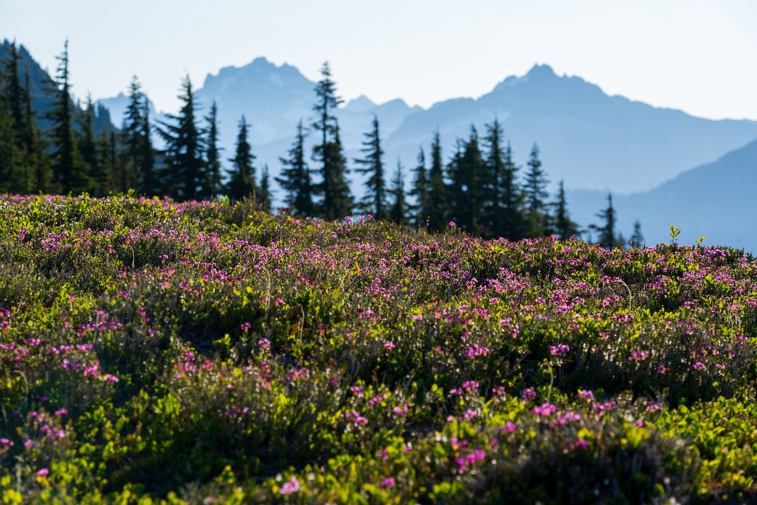 copper ridge hike backpacking north cascades