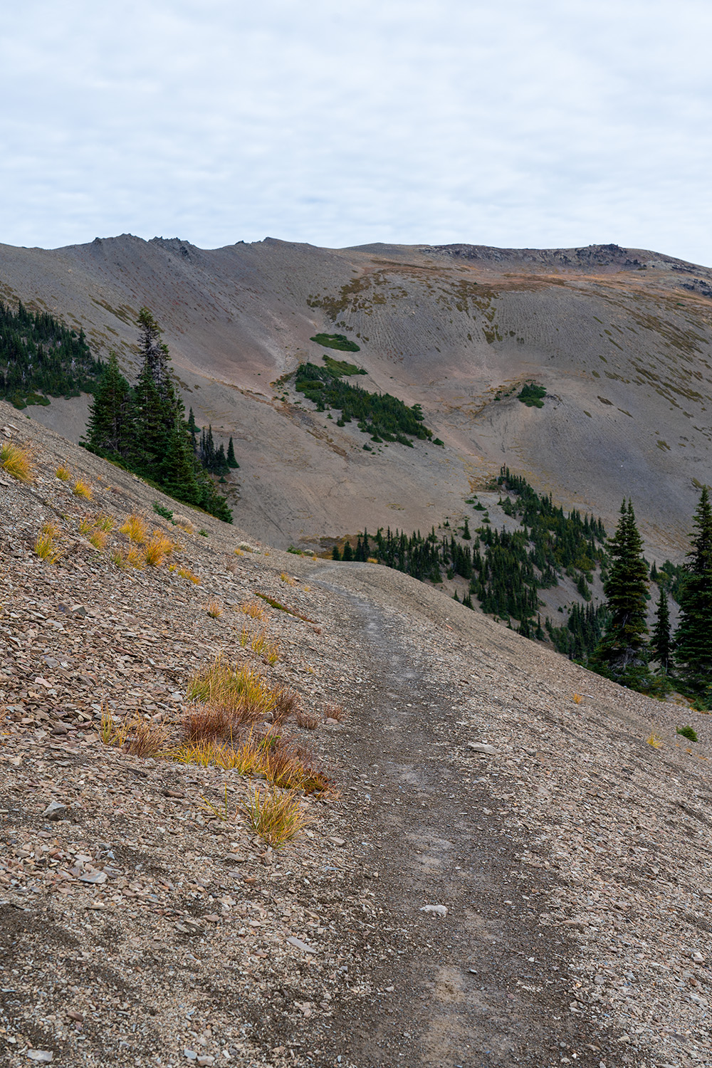 obstruction point badger valley grand pass trail lillian ridge hike backpacking olympic national park