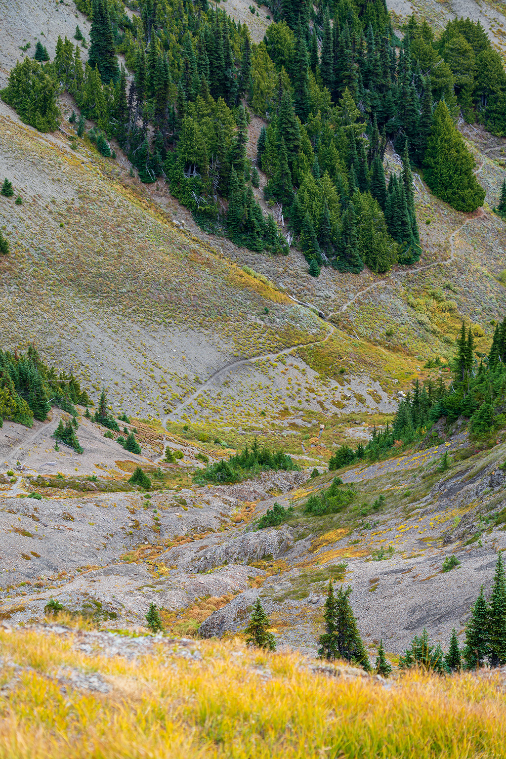 obstruction point badger valley grand pass trail lillian ridge hike backpacking olympic national park