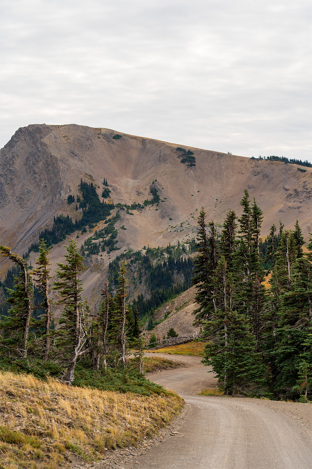 obstruction point badger valley grand pass trail lillian ridge hike backpacking olympic national park