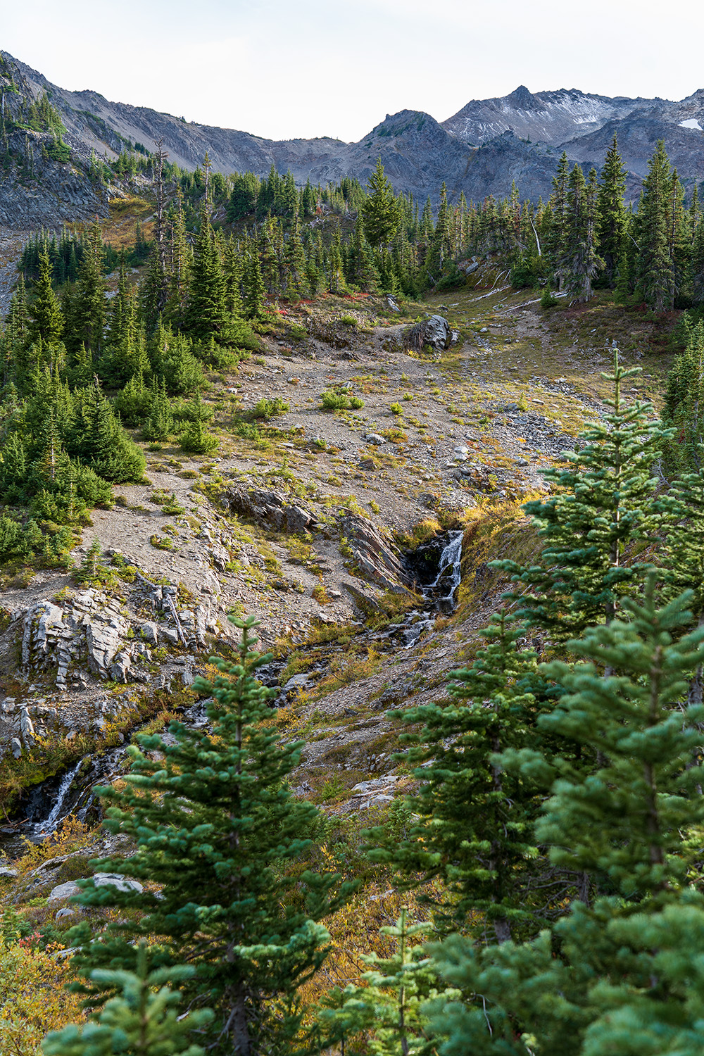 obstruction point badger valley grand pass trail lillian ridge hike backpacking olympic national park