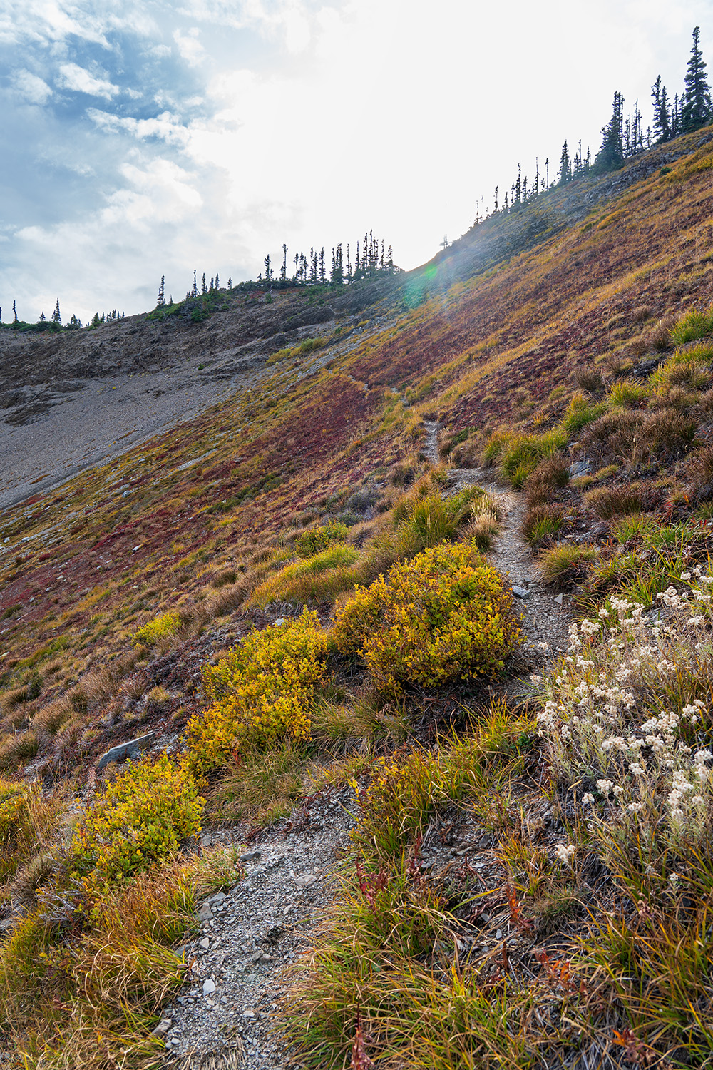 obstruction point badger valley grand pass trail lillian ridge hike backpacking olympic national park