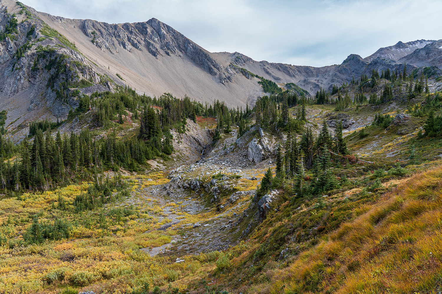 obstruction point badger valley grand pass trail lillian ridge hike backpacking olympic national park