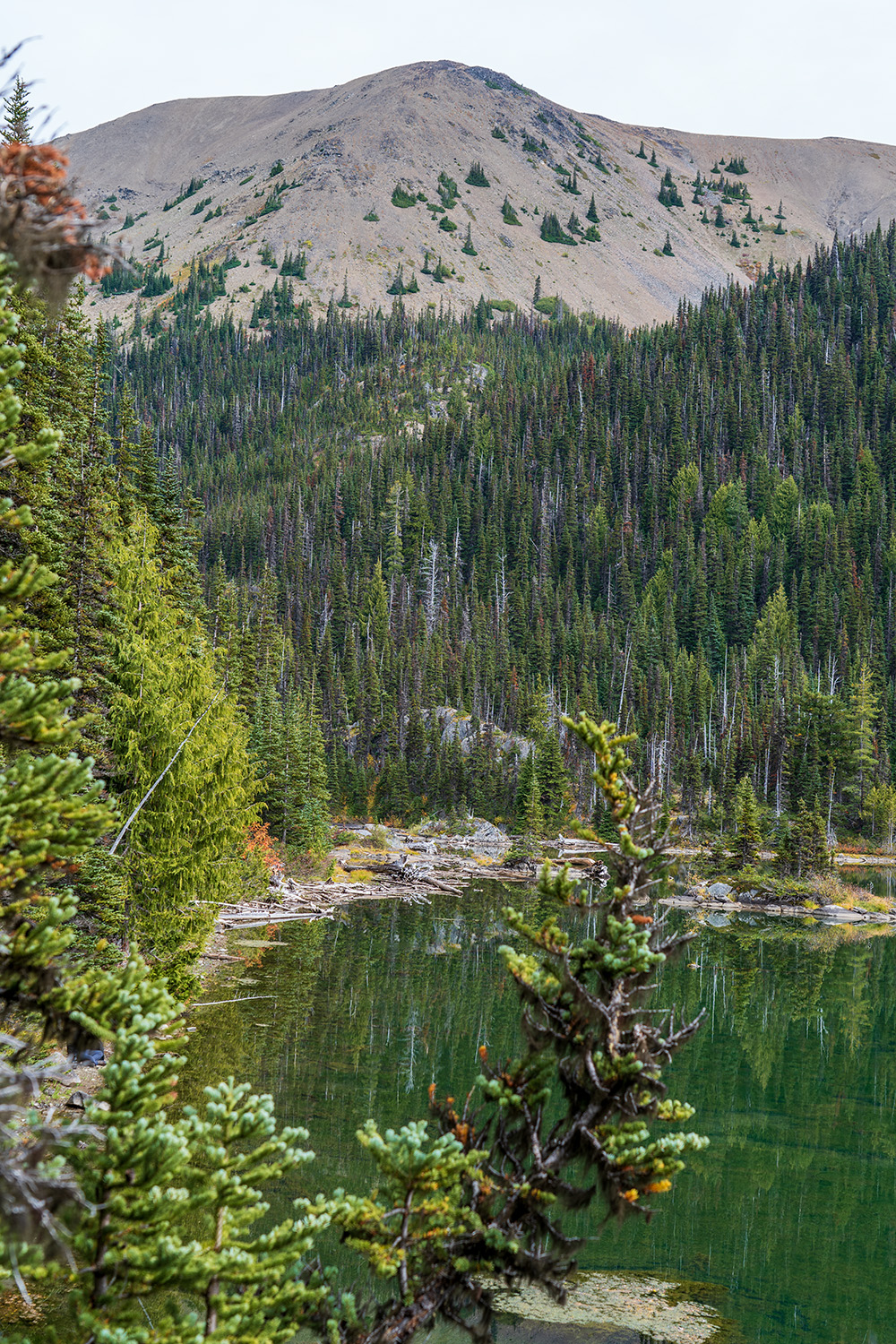 obstruction point badger valley grand pass trail lillian ridge hike backpacking olympic national park