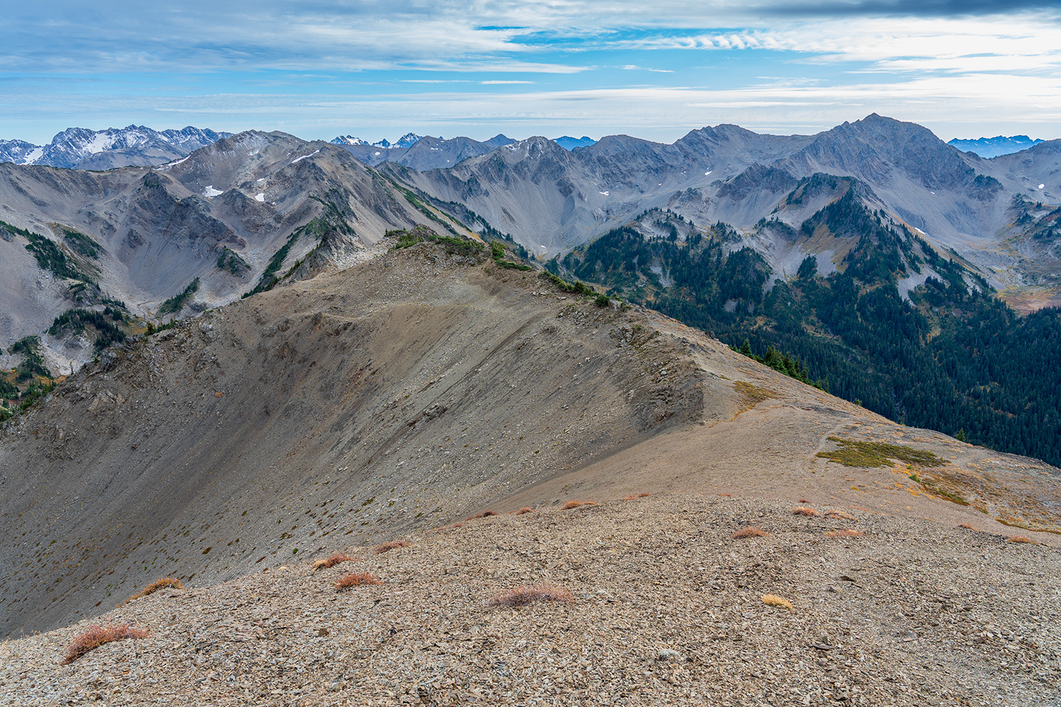 obstruction point badger valley grand pass trail lillian ridge hike backpacking olympic national park