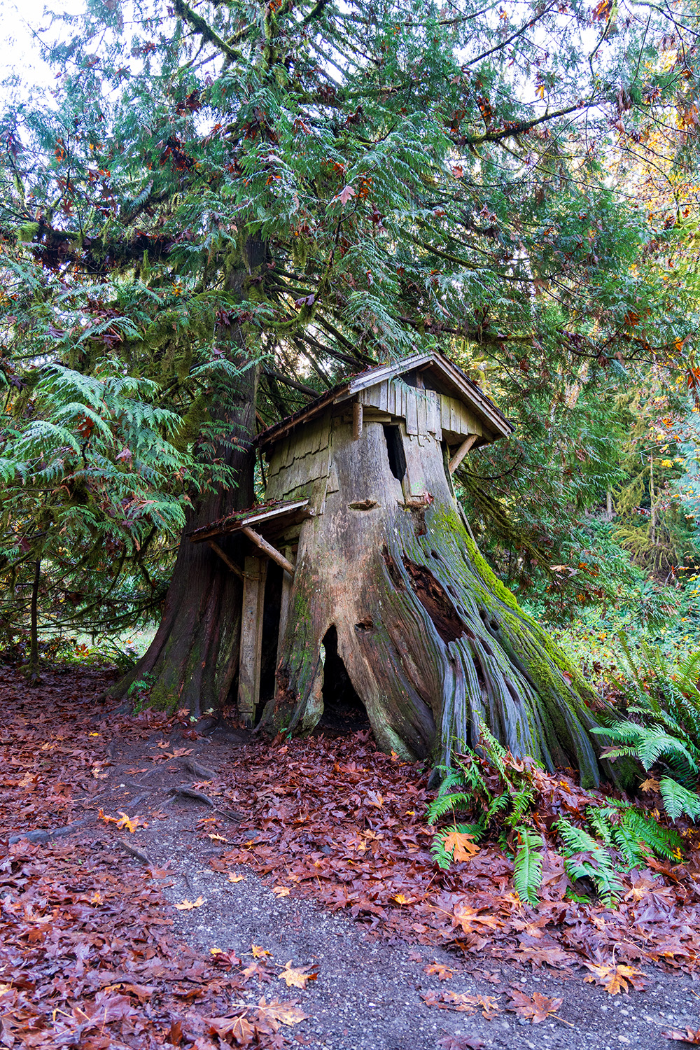 guillemont cove stump house hike