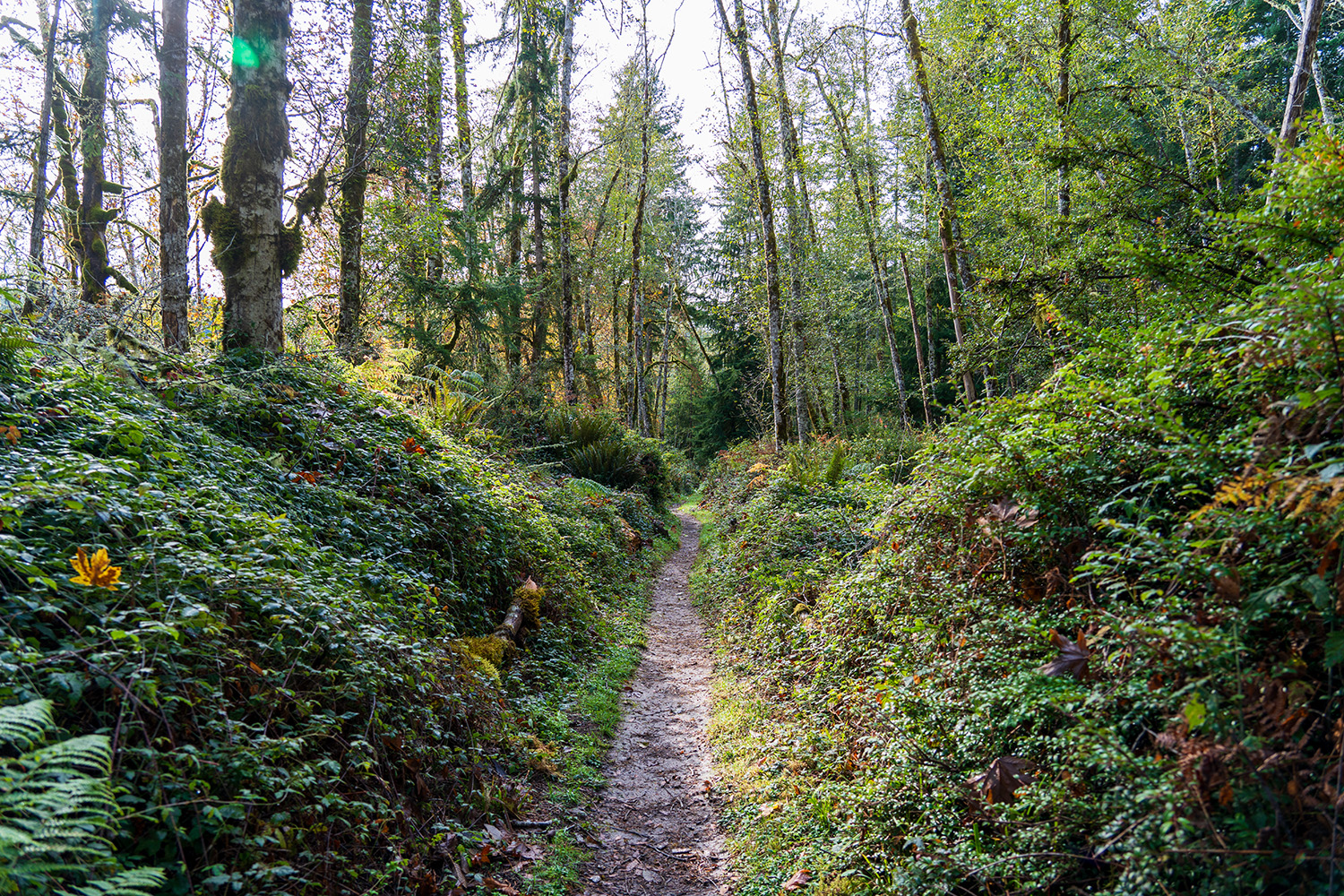 guillemont cove stump house hike