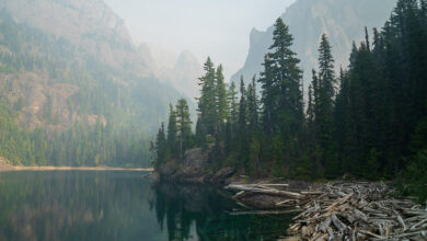 lake constance backpacking olympic national park