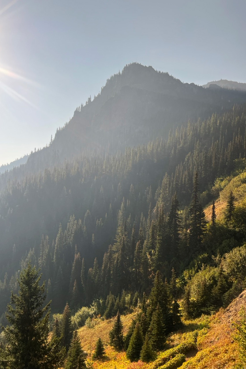 Scenic view of Mount Townsend trail and surrounding Olympic Mountains.