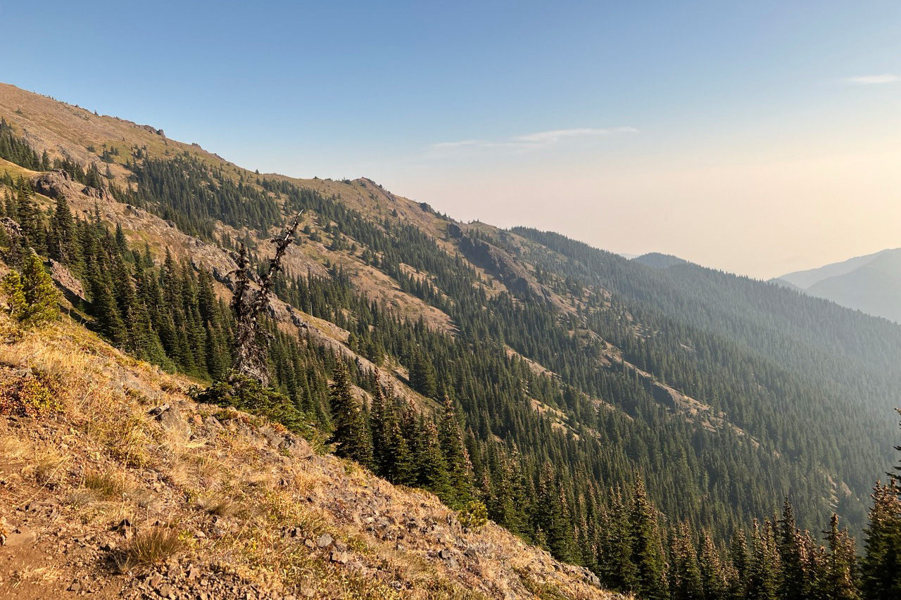 Scenic view of Mount Townsend trail and surrounding Olympic Mountains.