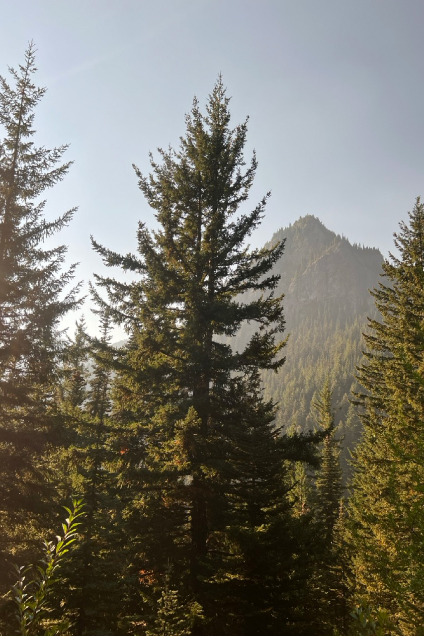 Scenic view of Mount Townsend trail and surrounding Olympic Mountains