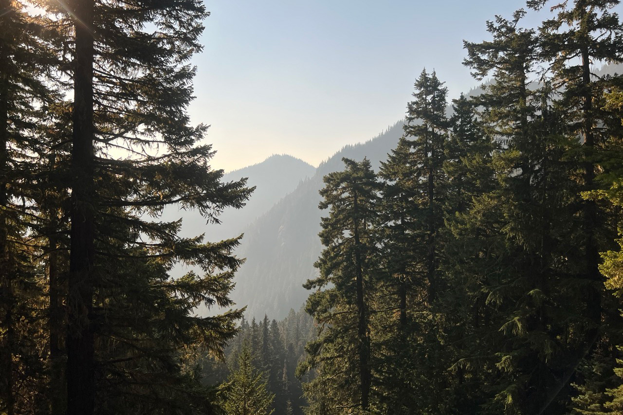 Scenic view of Mount Townsend trail and surrounding Olympic Mountains.