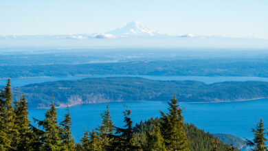 mount walker olympic national forest