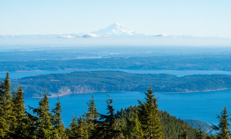 mount walker olympic national forest