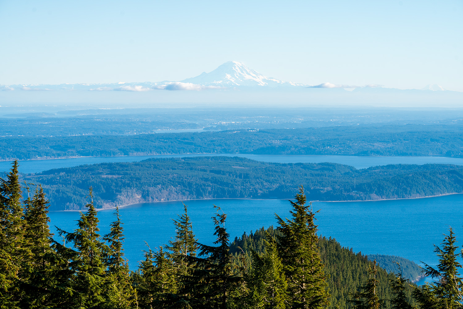 mount walker olympic national forest