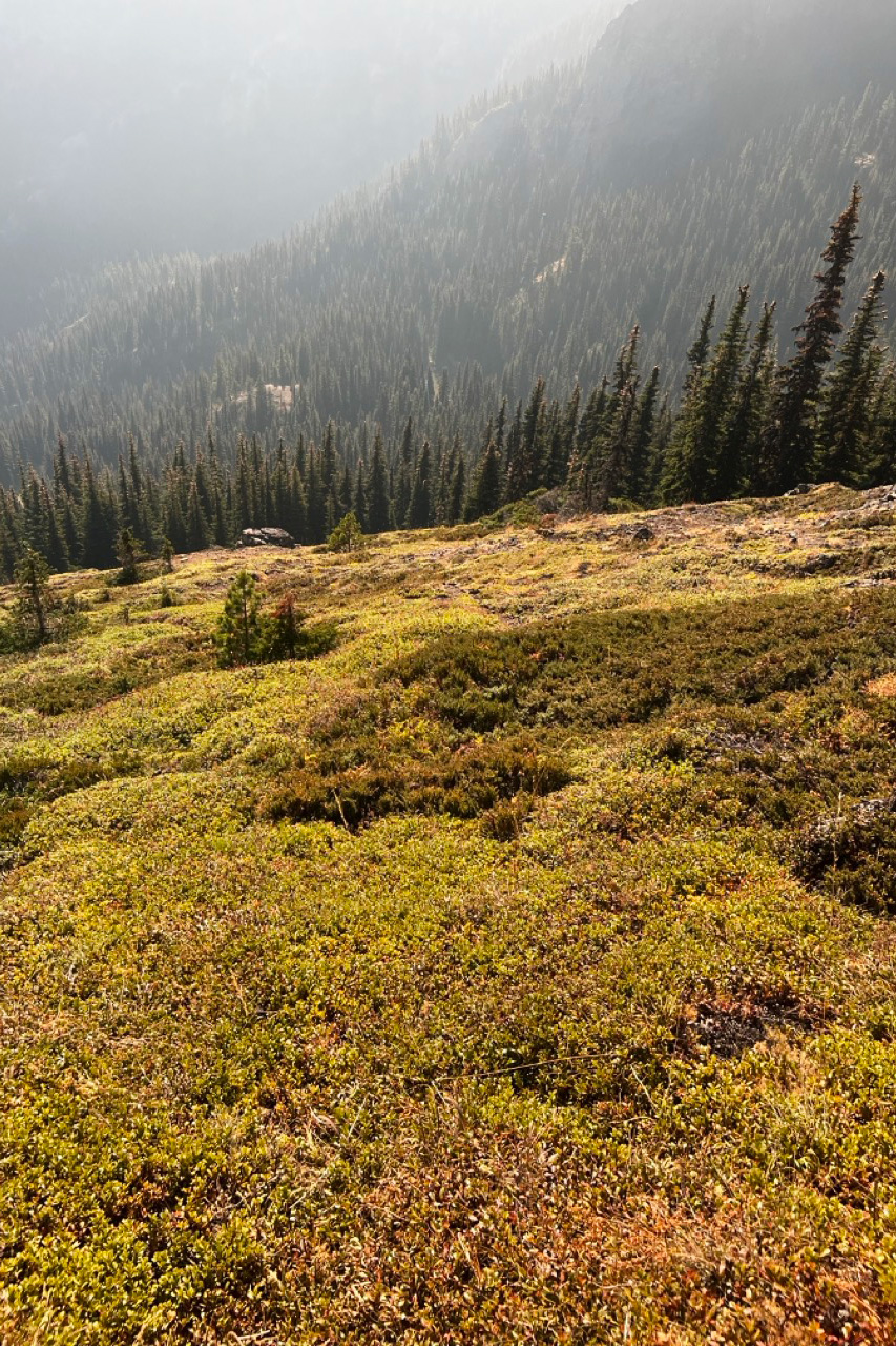 Scenic view of Mount Townsend trail and surrounding Olympic Mountains