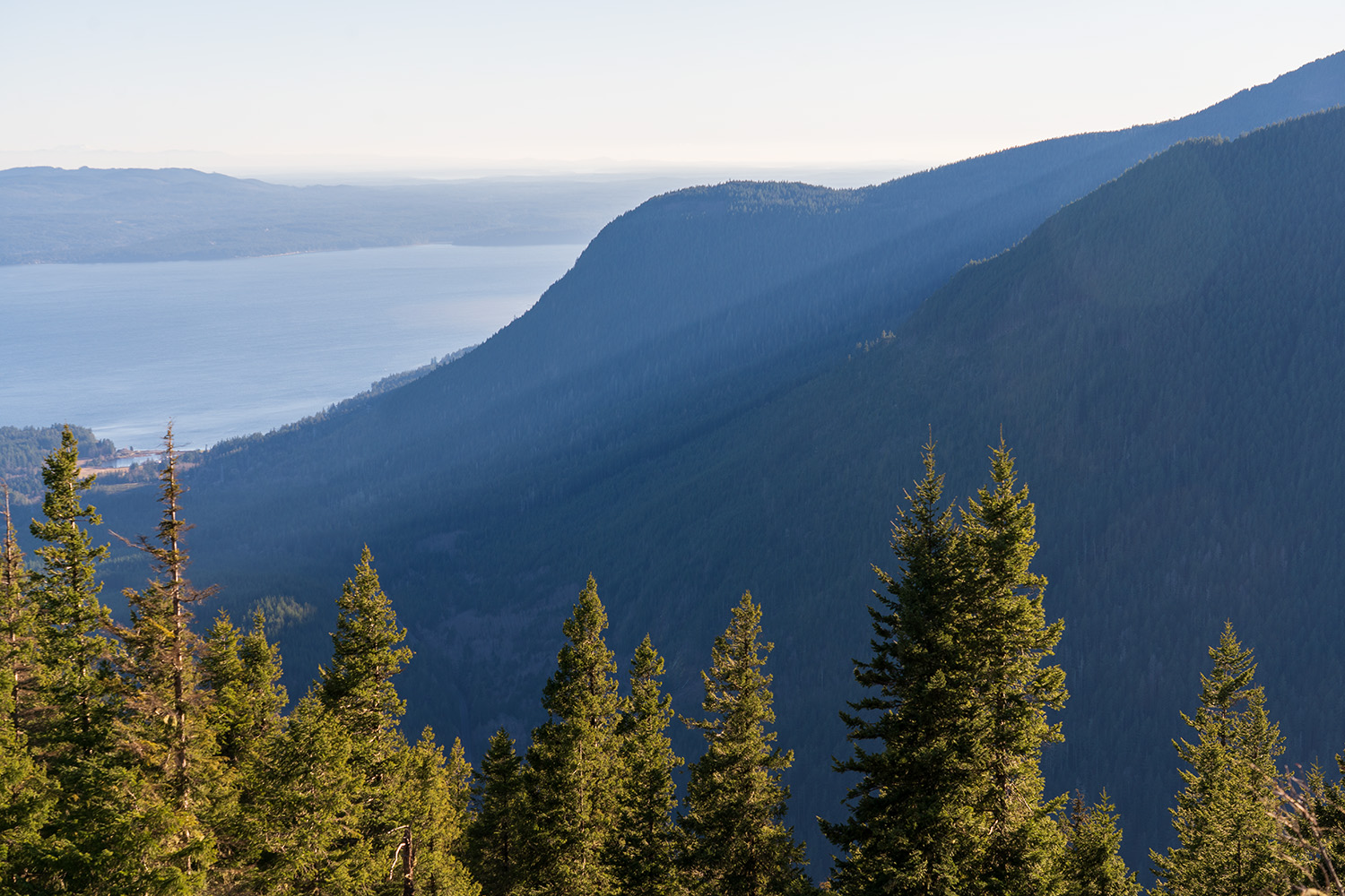 mount walker olympic national forest hood canal