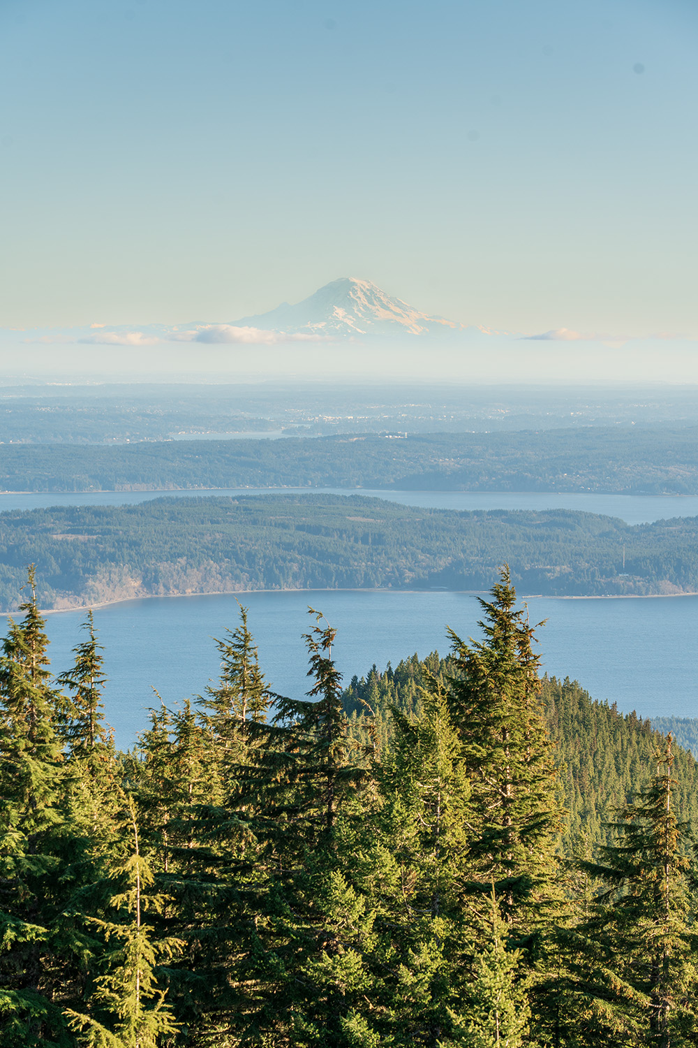 mount walker olympic national forest mount rainier view