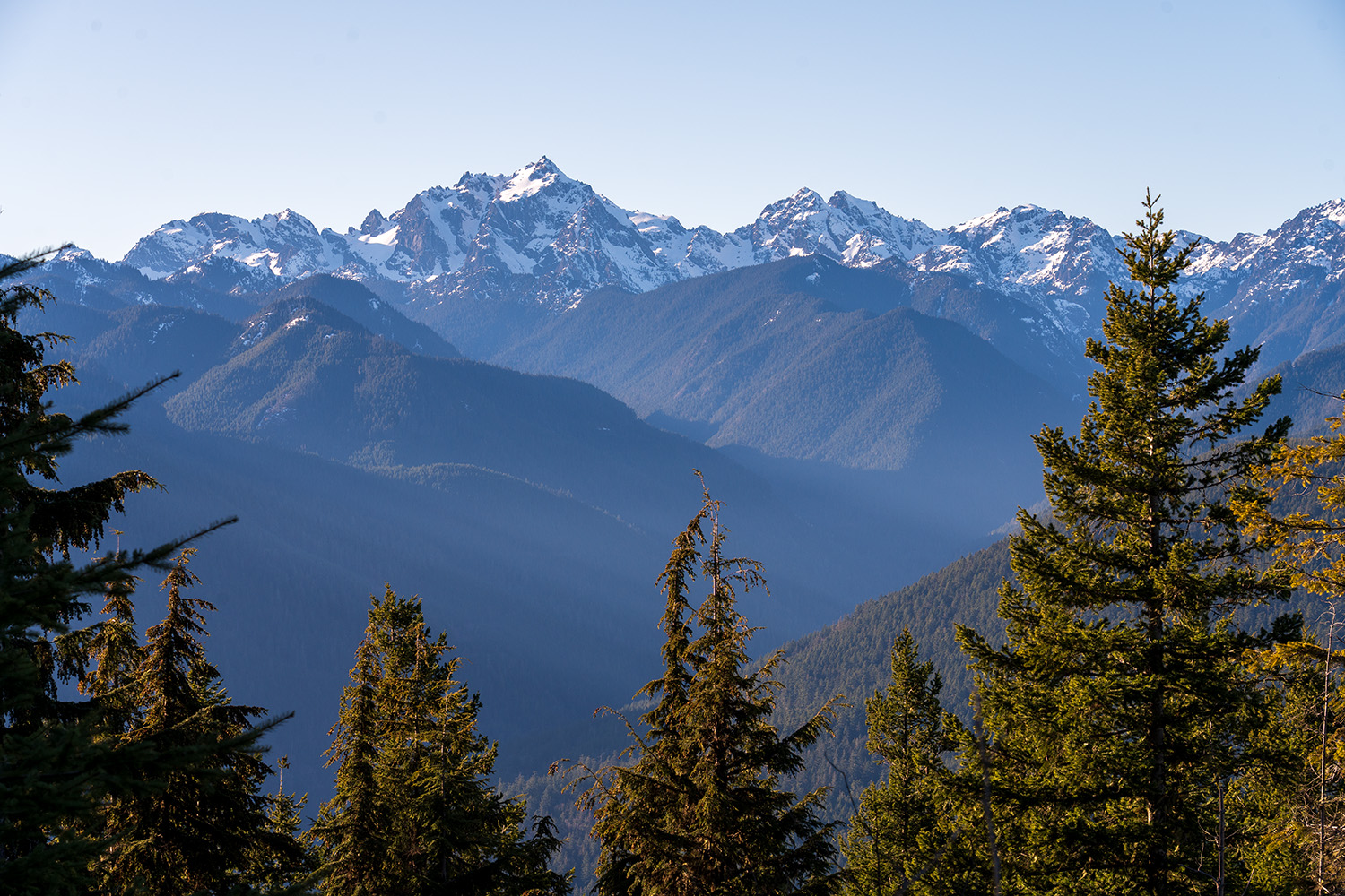 mount walker olympic national forest north viewpoint