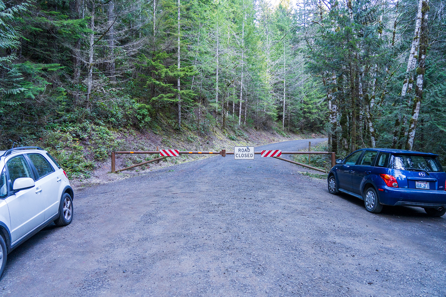 mount walker olympic national forest trailhead